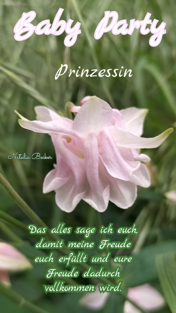 Eine rosafarbene Blume vor unscharfem grünem Hintergrund mit Text darauf