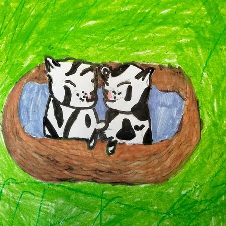 Zwei lächelnde schwarz-weiße Katzen liegen zusammen in einem braunen Korb auf grünem Gras