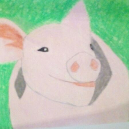 Ein rosa Schwein mit leichtem Lächeln vor grünem Hintergrund und großen Ohren