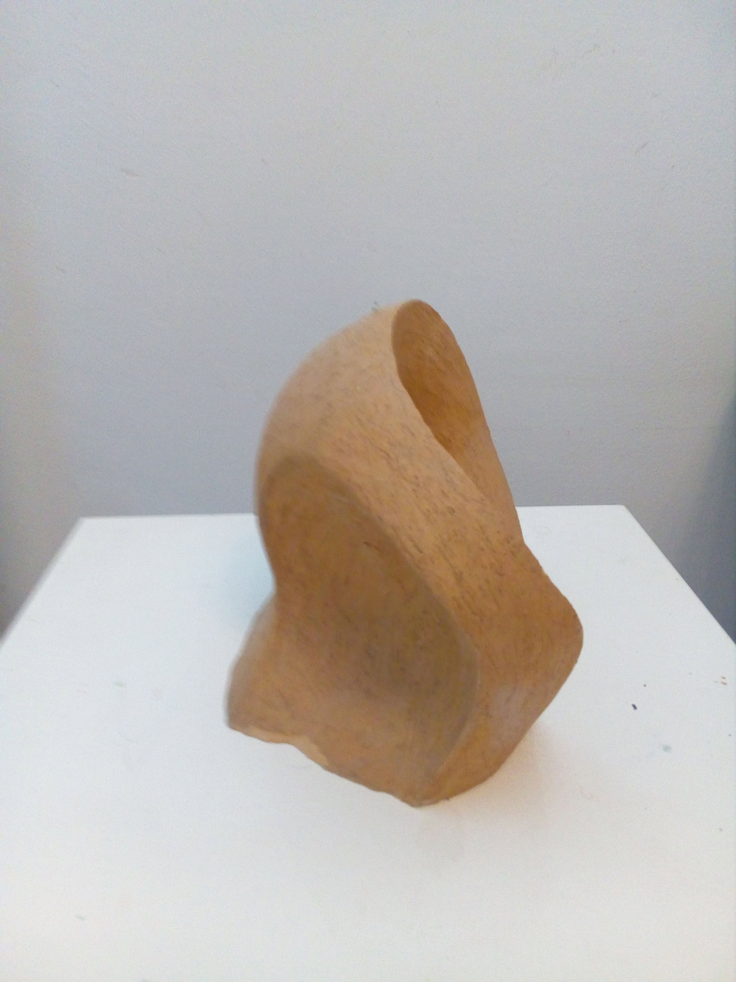 Eine abstrakte Skulptur in hellem Braun mit glatten und geschwungenen Formen