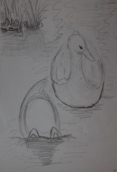 Eine Skizze zeigt zwei Enten im Wasser, eine sieht freundlich aus, die andere taucht