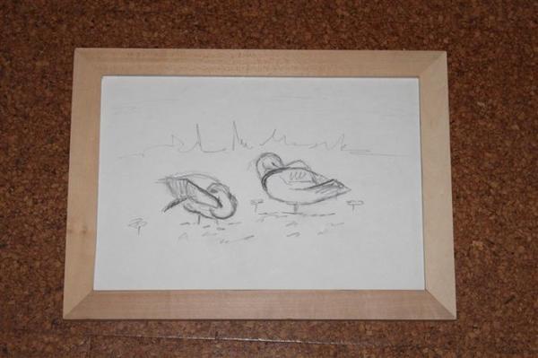 Zwei schlafende Enten in Schwarzweißzeichnung auf weißem Papier in Holzrahmen