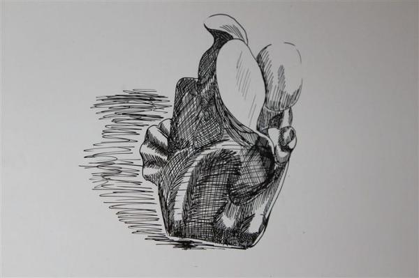 Eine schwarzweiß Illustration eines menschlichen Herzens mit markanten Schraffuren