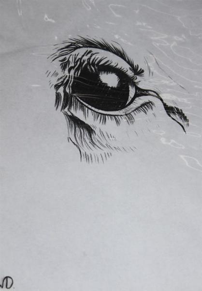 Schwarze Zeichnung eines menschlichen Auges mit nachdenklichem Blick auf weißem Papier