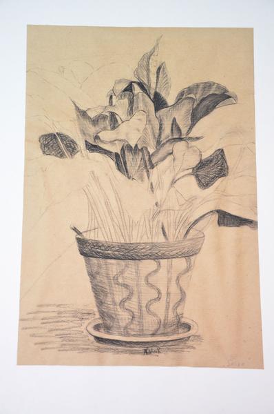 Eine mit Bleistift gezeichnete Zimmerpflanze im verzierten Blumentopf auf hellem Papier