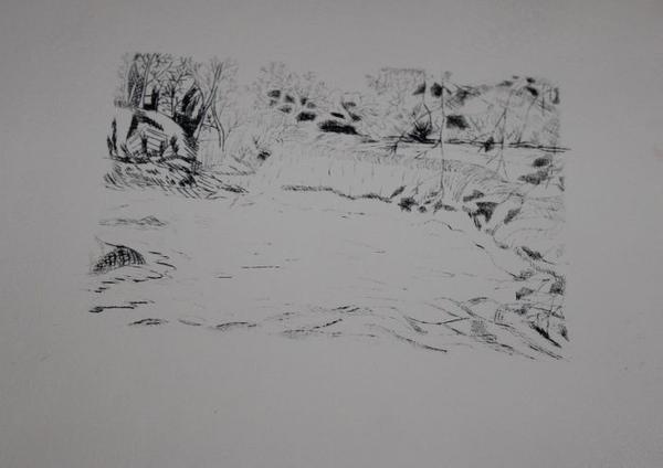 Eine schwarzweiße Skizze zeigt eine ruhige Landschaft mit Bäumen und Wasser