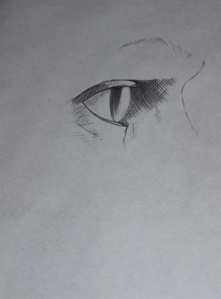 Eine Bleistiftzeichnung zeigt ein realistisch schattiertes menschliches Auge mit ernstem Blick