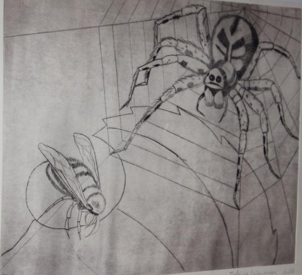 Eine große Spinne mit dunklem Muster beobachtet eine Biene auf einer Hand im Netz