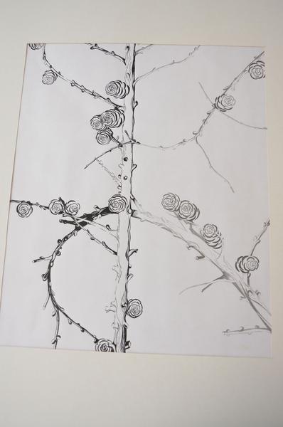 Schwarzweiße Zeichnung von Zweigen mit spiralförmigen Knospen auf weißem Hintergrund