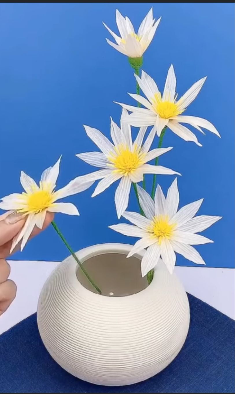 Hand haelt weisse Blumen mit gelber Mitte in cremefarbener Vase