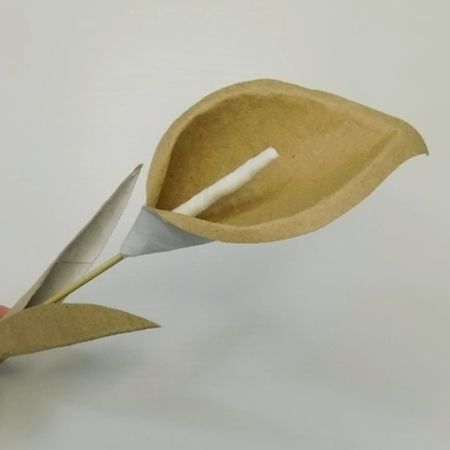 Weiße und braune Papierblüte ohne Gesicht mit sichtbarem Stiel