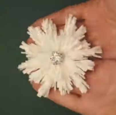 Hand haelt weisse Blume mit glitzernder Mitte vor gruener Flaeche