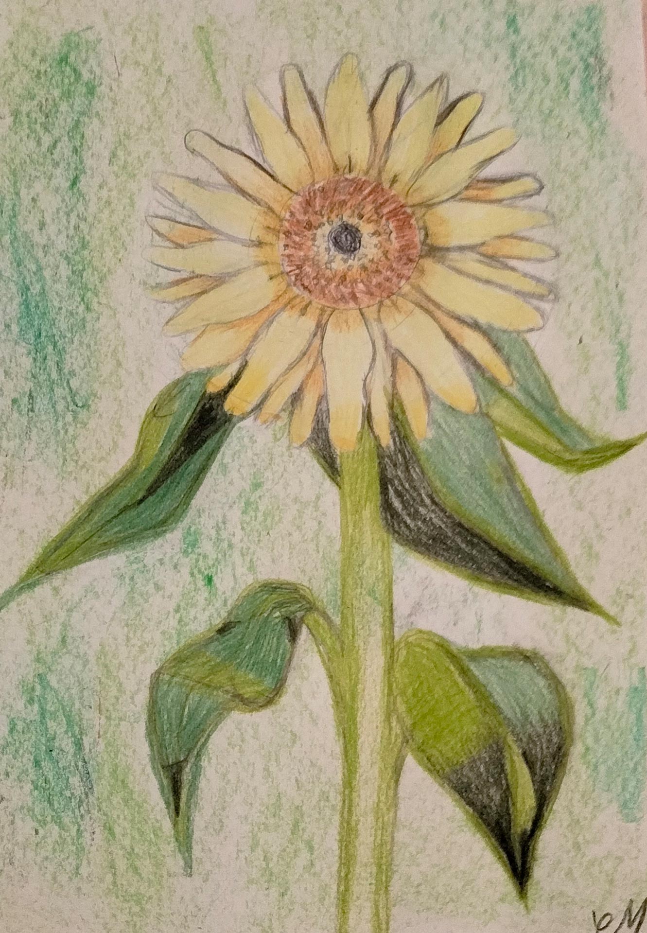 Gelbe Blume mit ruhigem Ausdruck und gruenen Blaettern in Buntstiftzeichnung