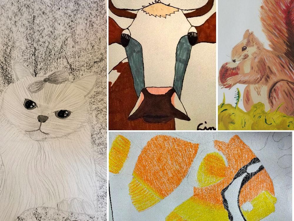 Eine weiße Katze mit Schleife schaut gelassen, daneben sind bunte Tierzeichnungen zu sehen
