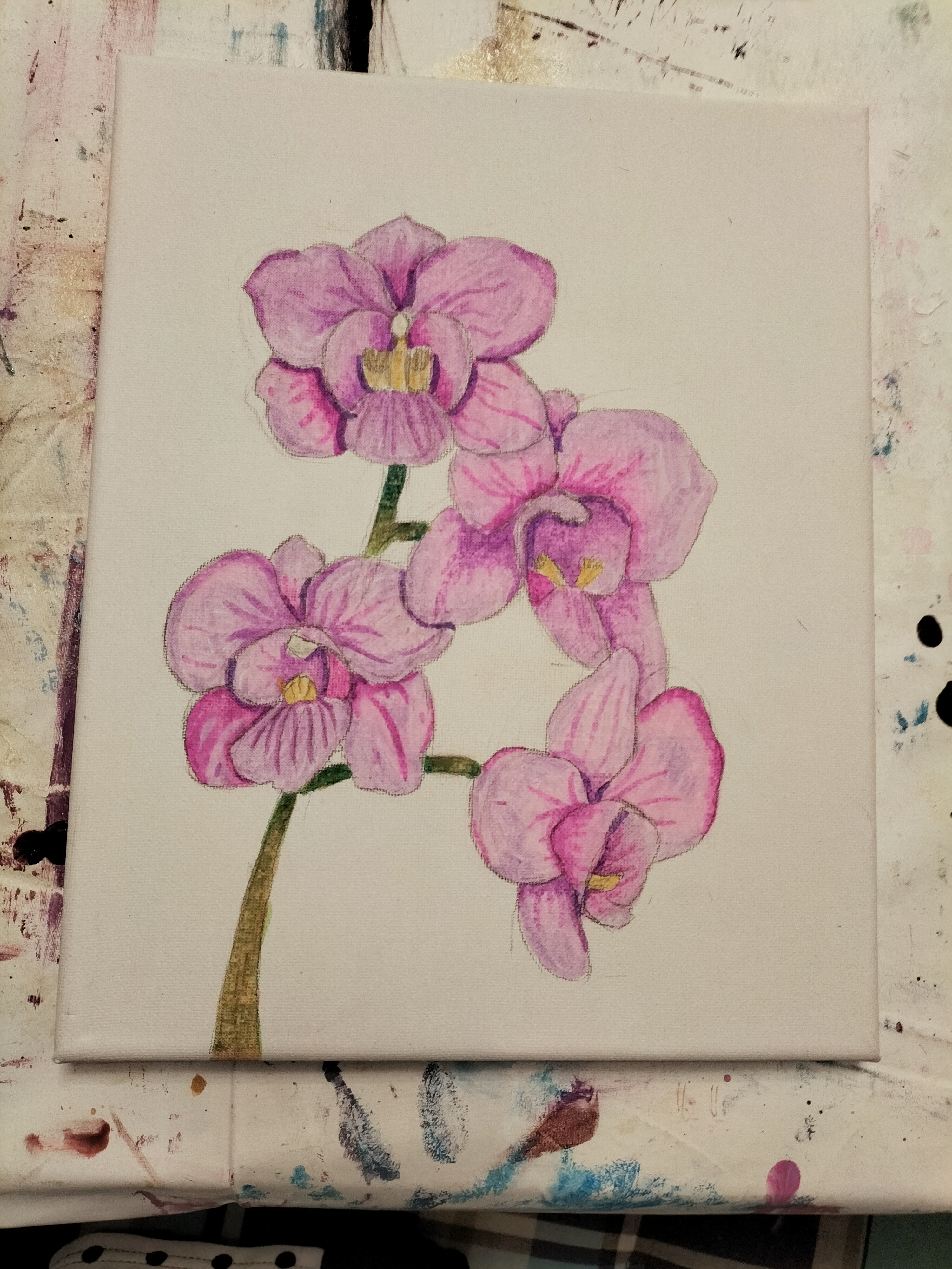 Aquarell von vier rosa Orchideen mit gelben Zentren auf weißer Leinwand